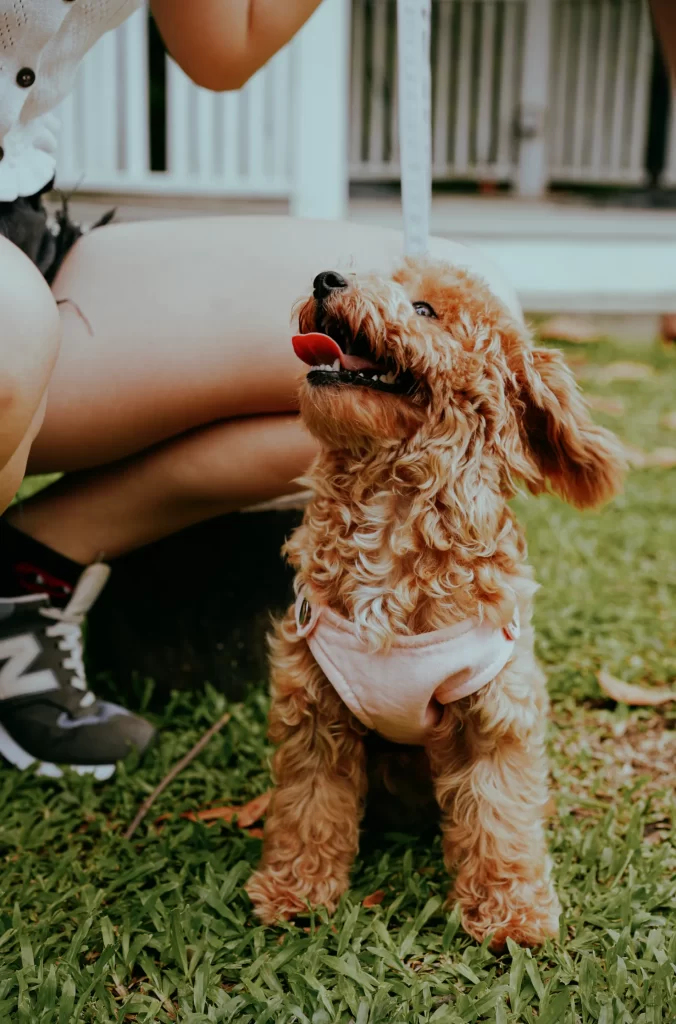 Screenshot 2023-01-11 at 5.33.46 PM