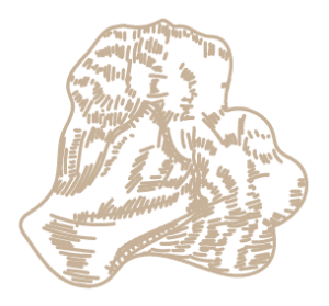 Alfresco Restaurant - Wheeler's Estate